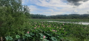 Интересные места 😍