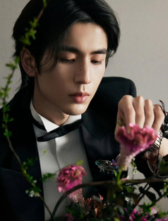 Чжан Линхэ/张凌赫