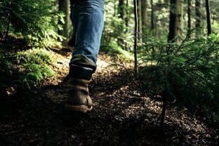 Статьи про туризм