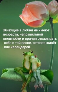 О любви