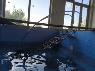 Лестница в бассейн для полных людей. Забежная