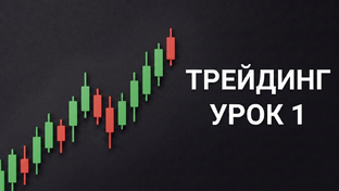 Трейдинг полный курс