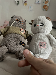 Что нужно для приобретения Басика? 