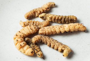 Обсуждения