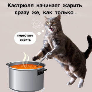 Дневник домового и кота 😻