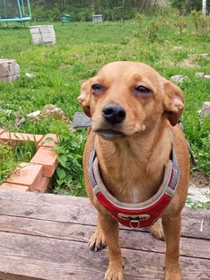 Бусины приключения