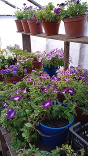 Архивное видео за 2022 год