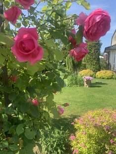 Мой любимый сад в Подмосковье 