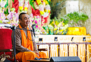 Короткие ролики