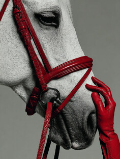 Новый 2026 год