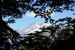 Природные зарисовки