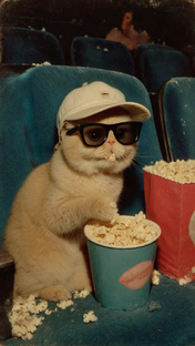 Просмотрено