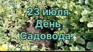 Разное, интересное и полезное. 