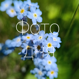 Ежедневные фото 