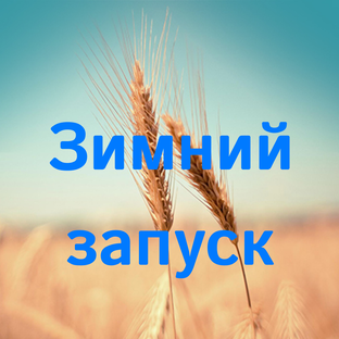 Зимний запуск техники