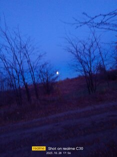 Военный конфликт Израиля и Палестины