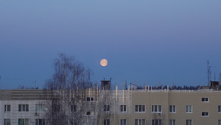 Фото, которые делает сам фотик, а не я...