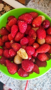 Домашние заготовки 