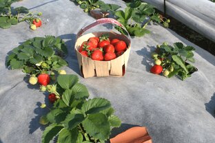 Лайфхаки по применению