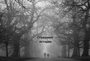 Страшные истории на ночь