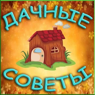 Полезные советы