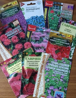 🌱Посевная