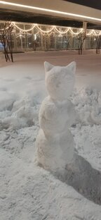 Красивая зимняя природа 