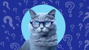 Начинающим селлерам