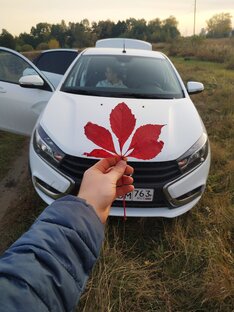 Автомобили