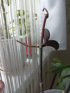 Мои видеоролики.