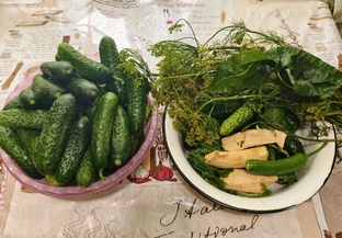 Консервация