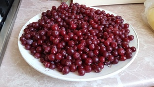 Путешествия