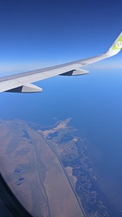 Про переезд и другие дела семейные