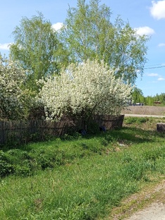 Вкусная зима. Подготовка