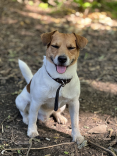 Тренды, идеи видео для любой ниши 