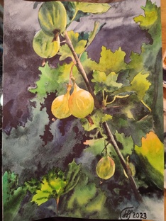 Мастер-классы 