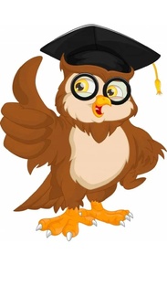 Экспресс - подготовка к ОГЭ