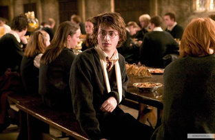 Мой любимый Гарри Поттер