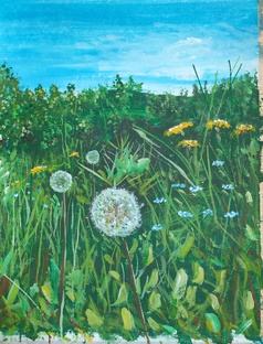 Моё хобби живопись