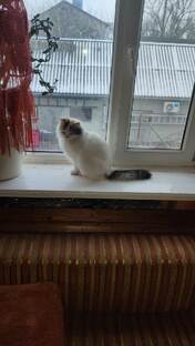 Прошлые статьи