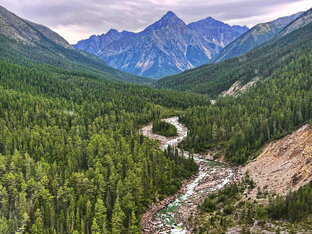 Съёмки глазами птиц.