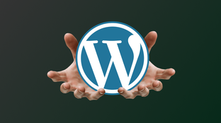 WordPress 