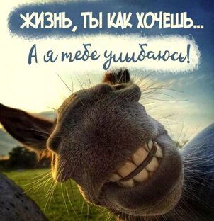 Юмор