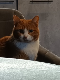 Правда жизни 