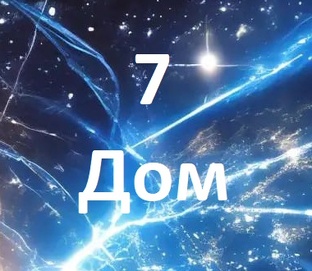 7 Дом синастрии