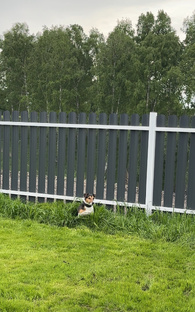 Полезное для дачи. Джими-джими ача-ача