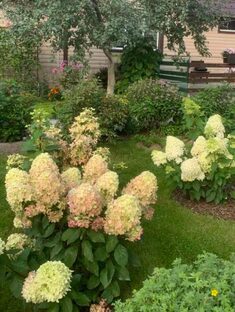 Садовые путешествия по садам Тюмени и Кургана.