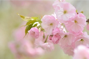 Энергетические микровлияния