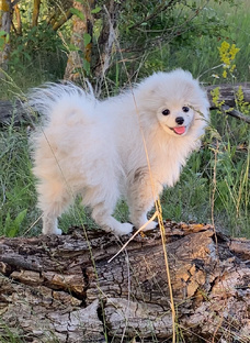 Боня и Кузя😃❤️