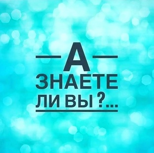 Самые интересные истории обо всем!